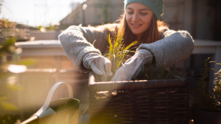 Дори и сезонът да е студен и празничен и да