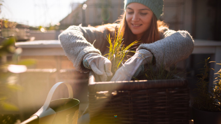 Изображение 745740