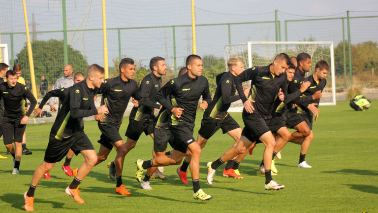 Изображение 446740