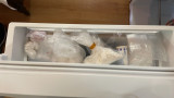  Полицията откри три типа дрога в хладилника в лятната квартира на столичен дилър в Созопол 