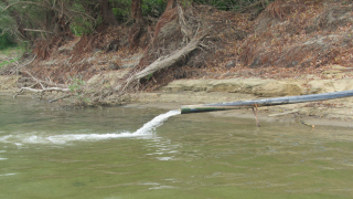Инспектори проверяват водите на река Тунджа за отрови съобщава БНР