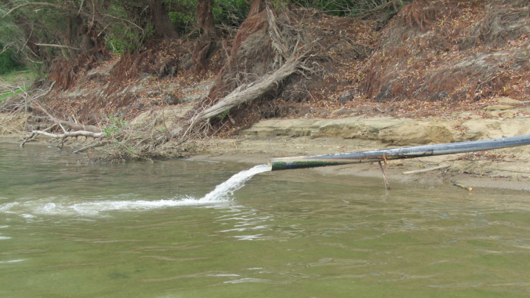 Откриха десетки чували с мъртви животни в река край Мездра