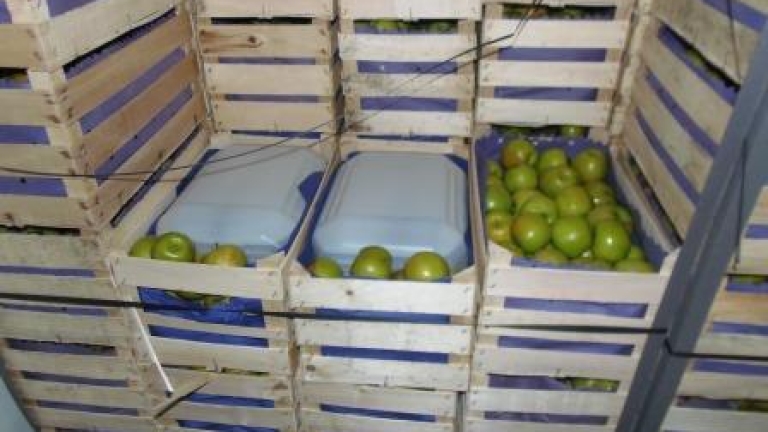 Изображение 287240