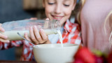  Млякото, млечните артикули и за какво би трябвало да са част от хранителния ни режим по време на домашната ни изолираност 