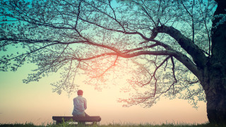 Kонтактът с природата в градовете значително намалява чувството за самота