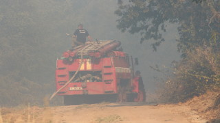 Нов пожар в Тополовградско