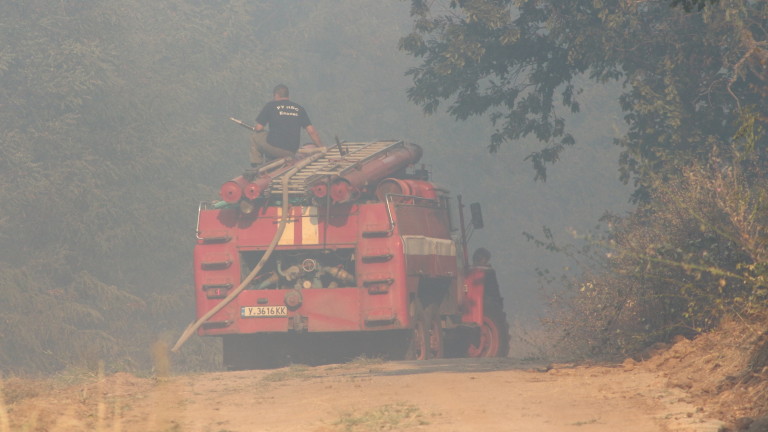 Изображение 308340