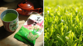 Зеленият чай пази женските полови органи от ХИВ