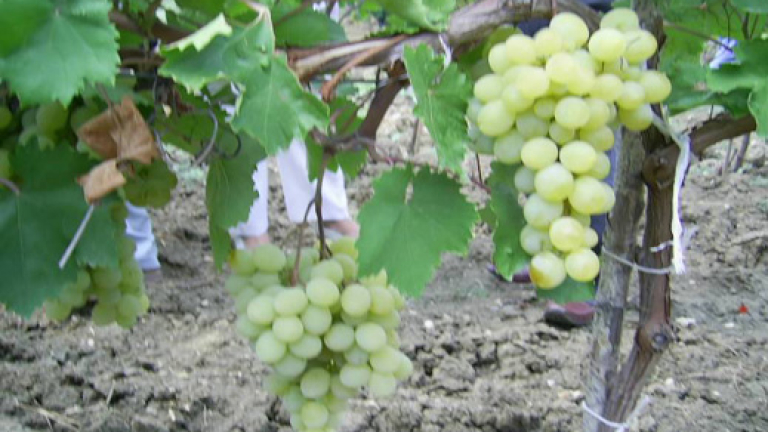 Изображение 58940