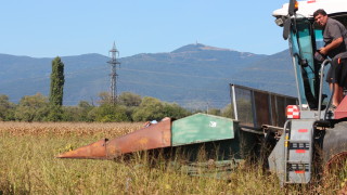 Комбайнер падна върху работещ хедер и оцеля Инцидентът е станал днес