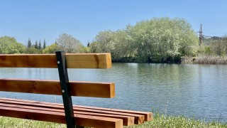 Служители на Общинско предприятие Паркове и зони за отдих и