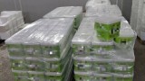 Унищожават над 3,3 тона опасни храни в Бургаско