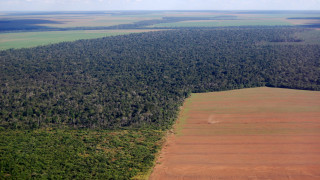 Обезлесяването на дъждовните гори в Амазонка в Бразилия достигна 12 годишен