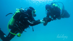 Искаме от ЮНЕСКО да разшири дейността на Центъра ни за подводна археология