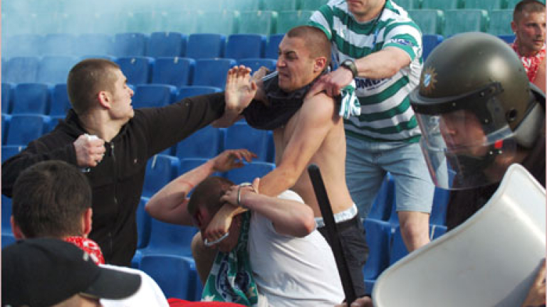 Изображение 1241