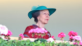  Британската принцеса Ан е в болница с контузия на главата 