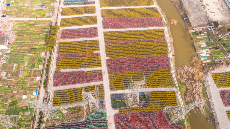 Поглед от въздуха към огромно поле с велосипеди в Китай.