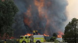  Калифорния желае федерална помощ поради пожарите 