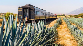 Не това не е просто легенда текила влакът официално известен