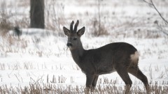 Отново оранжев и жълт код за опасно време за цяла България