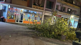 Започват огледи на във Враца информира Нова телевизия Аварийните групи работили