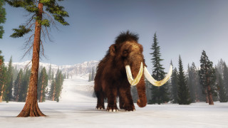 Учени представиха гигантско кюфте направено от лабораторно отгледано месо от