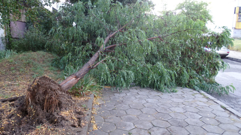 Силна буря в късния следобед на четвъртък е нанесла сериозни щети