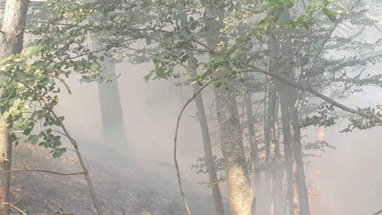 Локализирано е по-малкото огнище на пожара край родопското село Югово