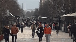 Слънчевото време птичите песни и празните улици предизвикаха неколцина столичани