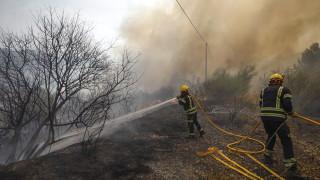 Пожар е обхванал стотици 3000 декара гора в Свиленградско този следобед