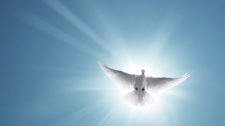 Отбелязваме Световния ден на мира