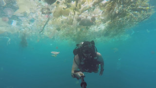 Глобално затопляне замърсяване и какво ли още не Да всичко