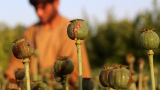 Американски и афганистански сили провеждат съвместни операции срещу лаборатории за