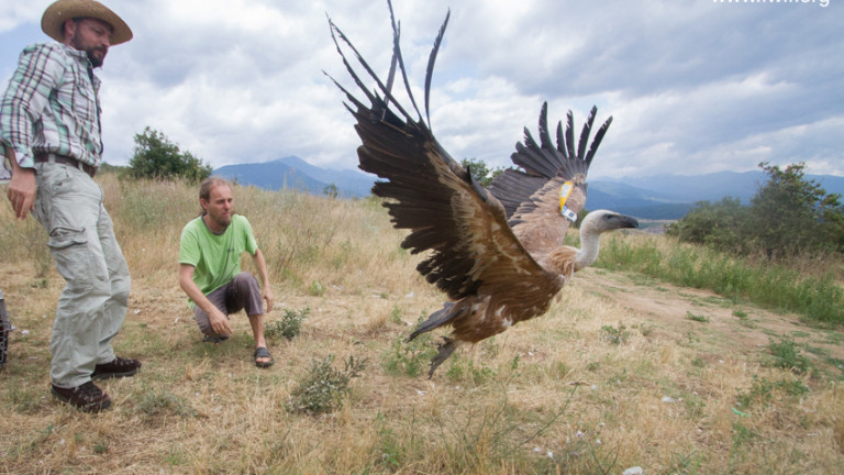 Парис и Барса са новите лешояди-шампиони в Кресненското дефиле