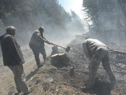 Краден микробус запали гората над Чибаовци