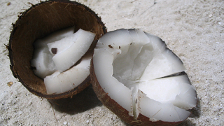 Да похапнем кокосов орех (видео)