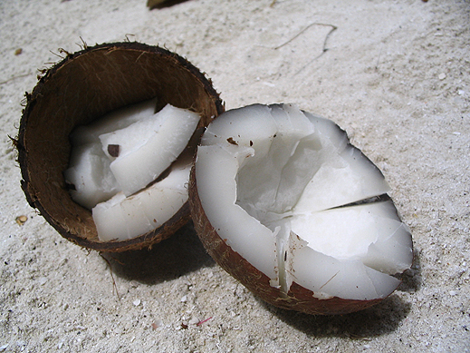 Да похапнем кокосов орех (видео)