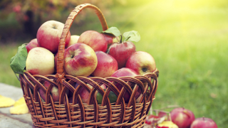 Плодовете у нас масово поскъпват Причината слабите реколти заради