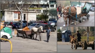 Общинските съветници от ВМРО искат забрана на каруците и още
