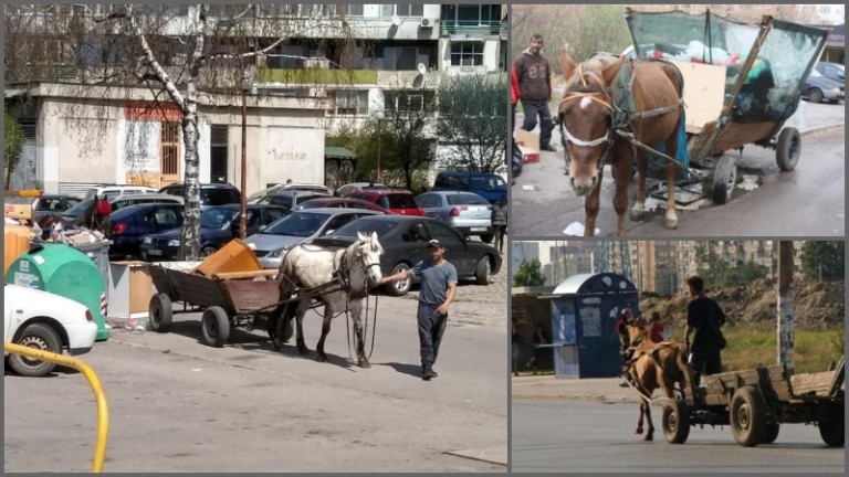 Патриотите искат забрана на каруците и количките в София