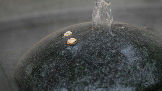 За първото тримесечие на 2019 г отлагат драстичното поскъпване на