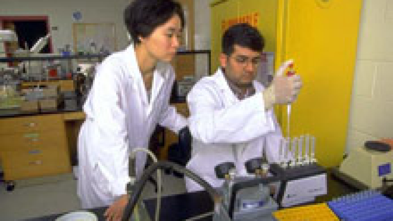 Изображение 6441