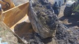 Над 120 тона достигна откритото количество незаконно загробен боклук край Червен бряг