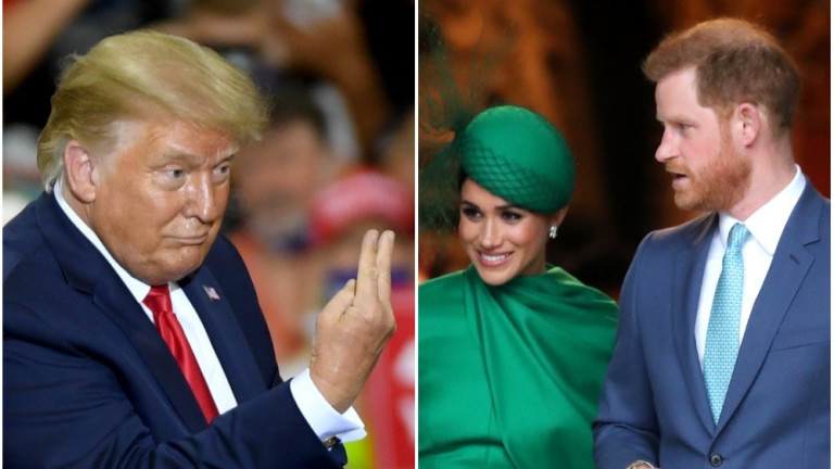 Изображение 497541