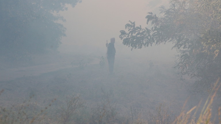 Изображение 308341