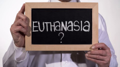 Нидерландия регистрира първия случай на евтаназия на дете под 12-годишна възраст