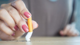 Тютюнопушенето, вредните храни и защо се напълнява след отказване на цигарите
