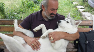 Винаги около новогодишните празници се дават съвети как да предпазим