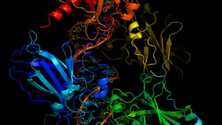 Американската космическа агенция NASA работи по генетично проучване върху близнаци