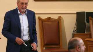 Да не преиграваме с референдумите, предупреди Местан
